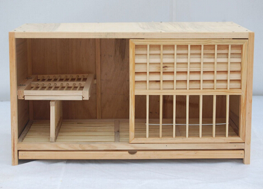 种鸽配对笼百叶孵化台