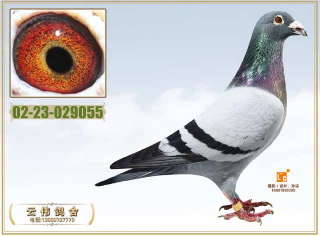 1478862671426703.jpg 014.JPG